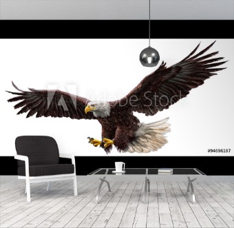 Afbeeldingen van Bald eagle flying draw and paint on white background vector illustration